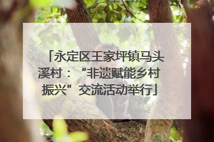 永定区王家坪镇马头溪村：“非遗赋能乡村振兴”交流活动举行